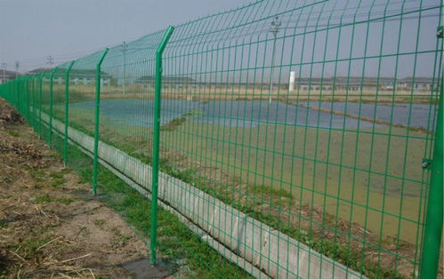 花坛护栏网与石雕工艺品选购指南